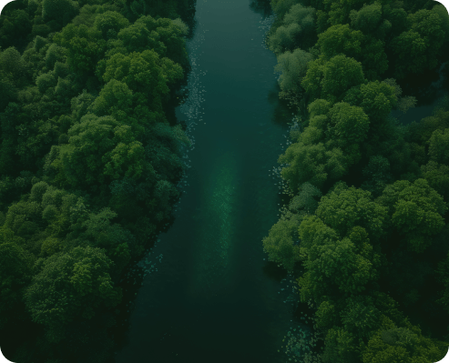 Peta Mangrove Nasional